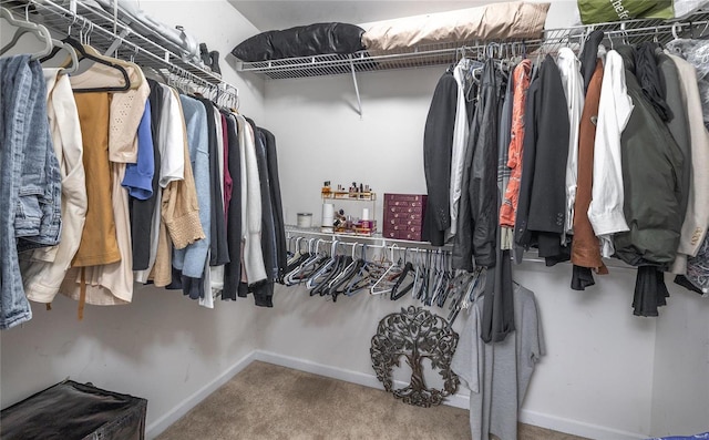 walk in closet with carpet