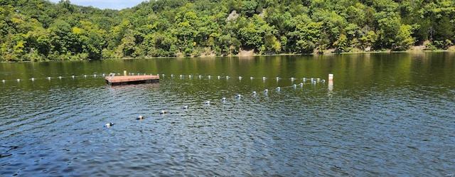 view of dock featuring a water view and a wooded view