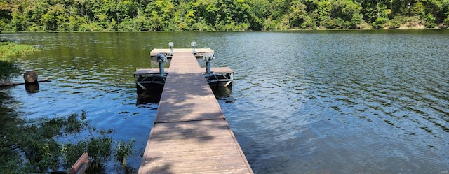 view of dock with a water view and a wooded view