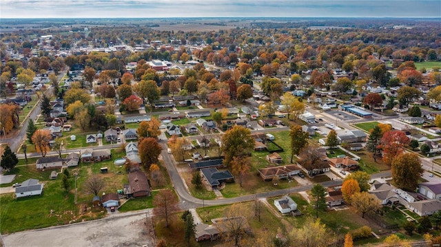 bird's eye view