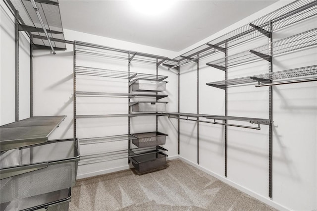 spacious closet with carpet floors