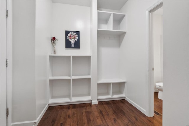 mudroom featuring dark wood-type flooring