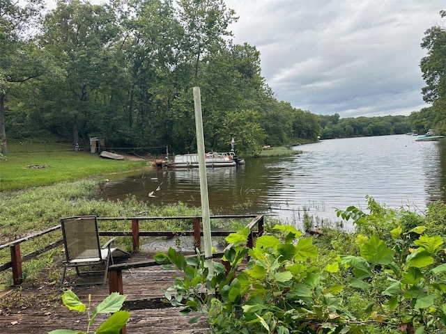 dock area featuring a water view