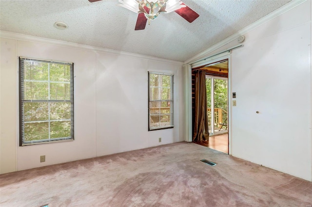 carpeted empty room featuring a textured ceiling, ceiling fan, and ornamental molding