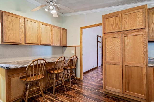 kitchen with a textured ceiling, ceiling fan, crown molding, and dark hardwood / wood-style floors