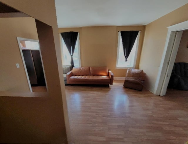 living area featuring wood-type flooring