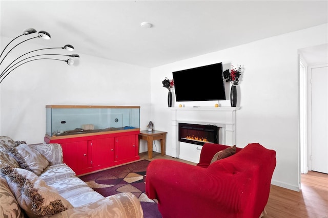 living room with dark wood-type flooring