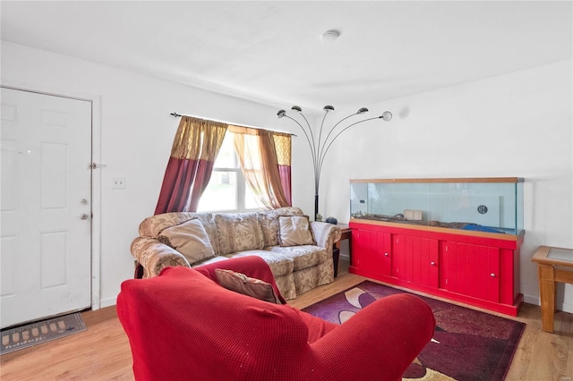 living room with hardwood / wood-style floors