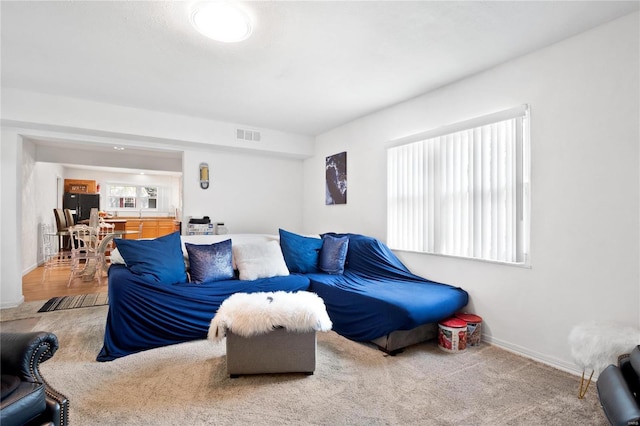 living room with carpet floors