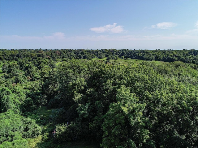 view of landscape featuring a forest view