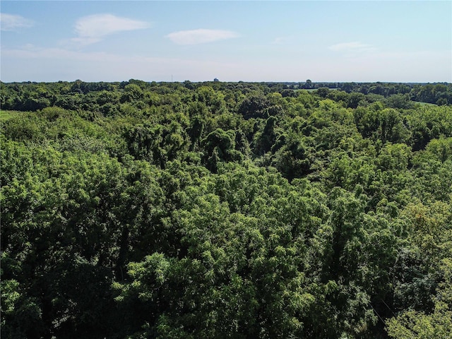 aerial view with a view of trees