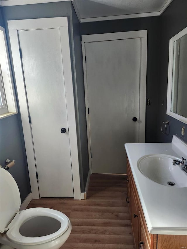 bathroom featuring toilet, wood finished floors, and vanity