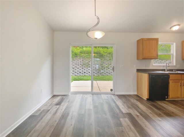 kitchen featuring sink, dishwasher, hardwood / wood-style floors, and hanging light fixtures