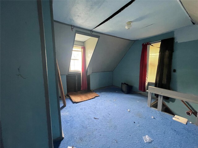 bonus room featuring vaulted ceiling and carpet floors