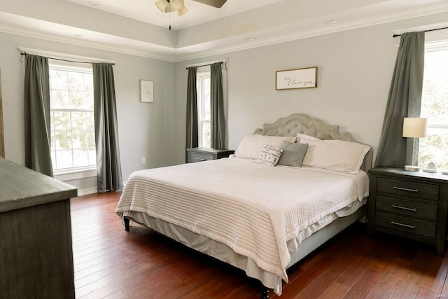 bedroom with crown molding, multiple windows, a tray ceiling, and dark wood-type flooring