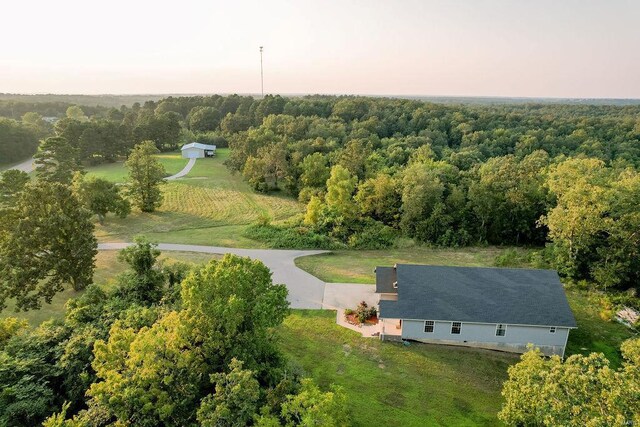 bird's eye view