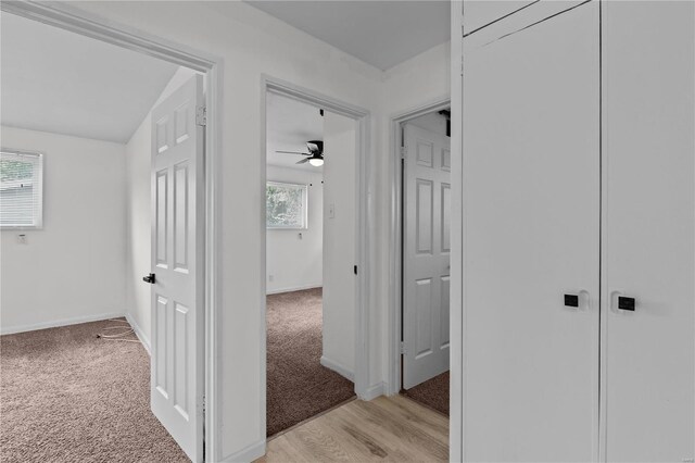 hallway with light hardwood / wood-style flooring and plenty of natural light