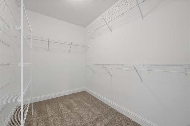 spacious closet with carpet