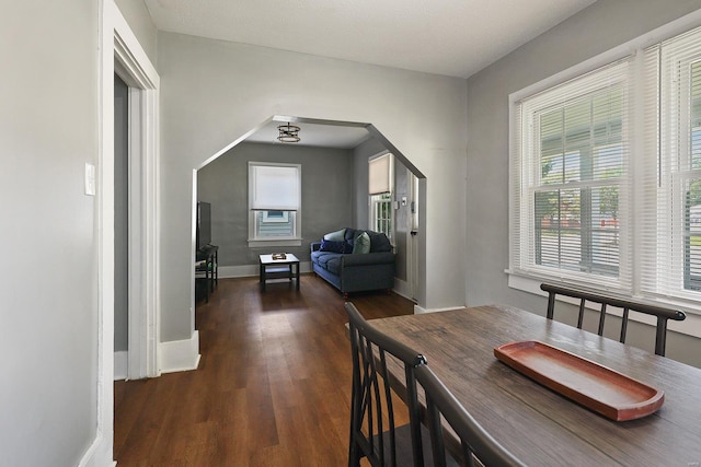 dining area with dark hardwood / wood-style floors and a healthy amount of sunlight