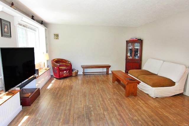 living room with a textured ceiling and hardwood / wood-style floors