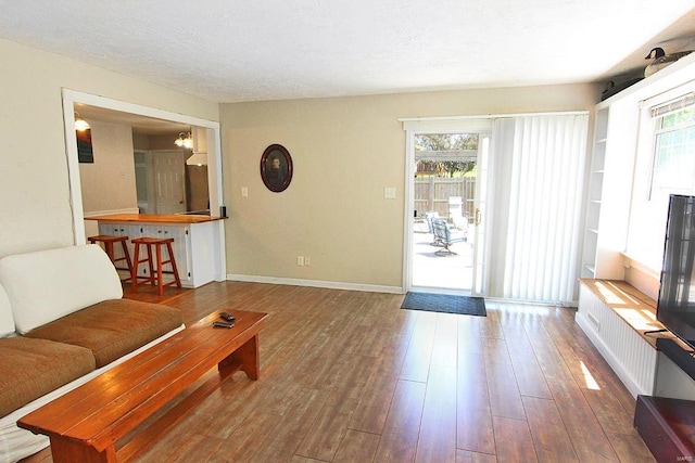 living room featuring wood-type flooring and plenty of natural light