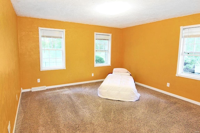 unfurnished room with a textured ceiling, carpet flooring, and plenty of natural light