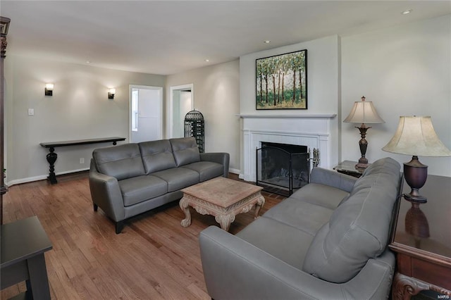 living room featuring hardwood / wood-style flooring