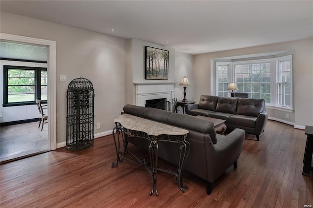 living room featuring dark hardwood / wood-style floors