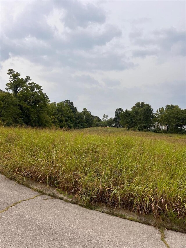 Listing photo 3 for 1429 W Madison Ave Lot 7, Lebanon MO 65536