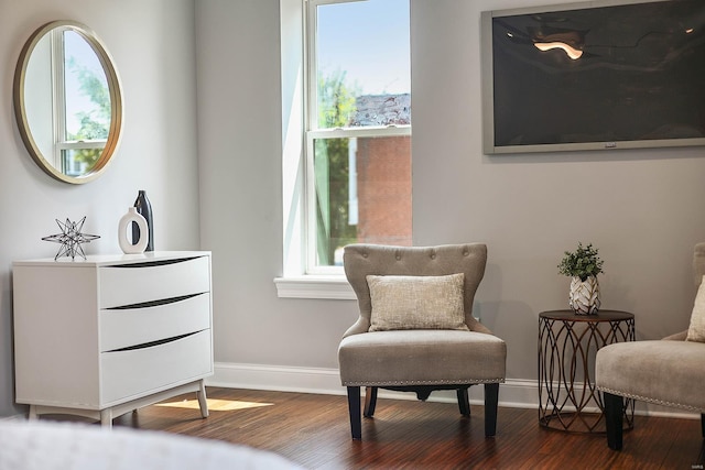 living area featuring hardwood / wood-style floors