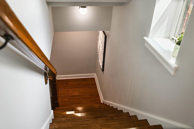 staircase featuring hardwood / wood-style flooring