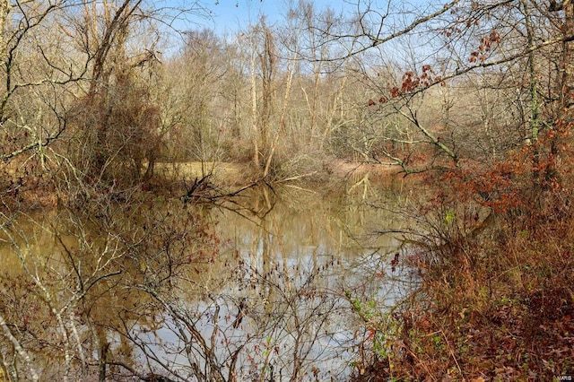 view of local wilderness featuring a view of trees