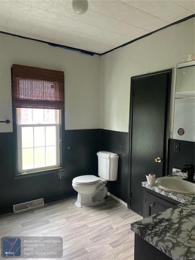 bathroom with vanity, toilet, and hardwood / wood-style flooring