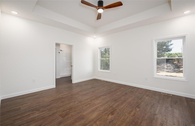 spare room with a tray ceiling, plenty of natural light, and dark wood-type flooring