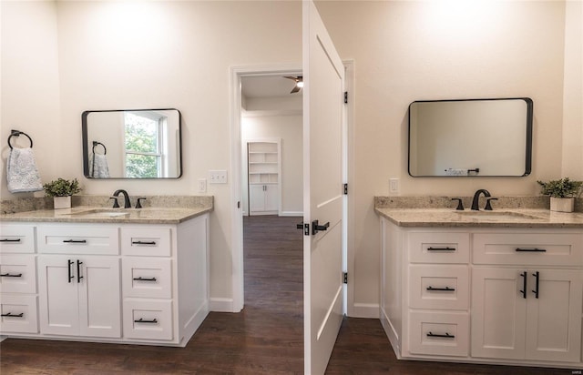 bathroom featuring wood-type flooring and vanity