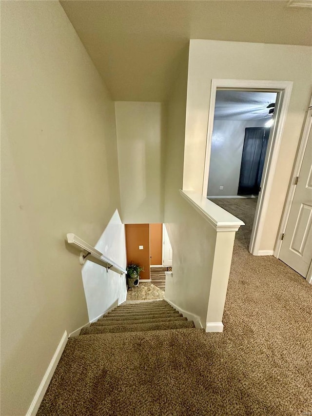 stairs featuring carpet floors