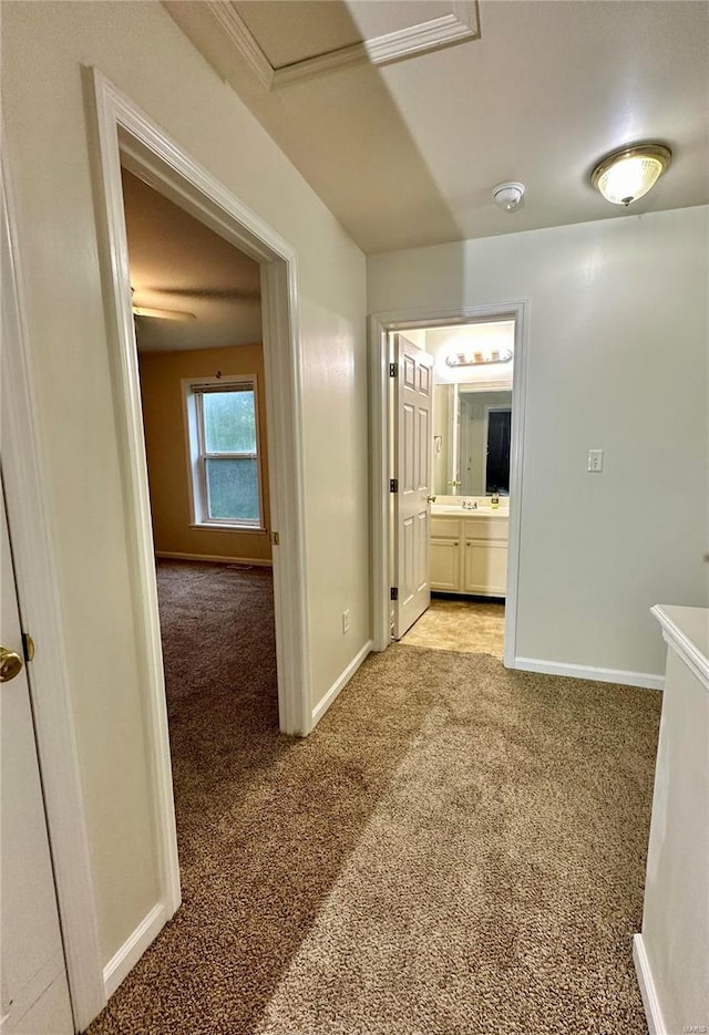 corridor featuring light colored carpet