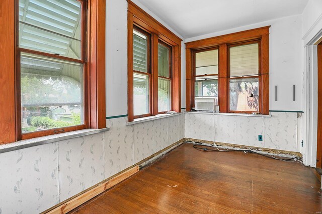 empty room featuring wood-type flooring and a wealth of natural light