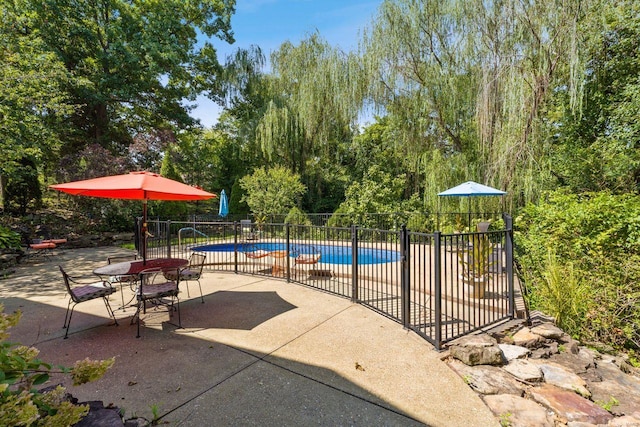 view of swimming pool with a patio, fence, and a fenced in pool