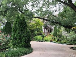 view of property's community with driveway