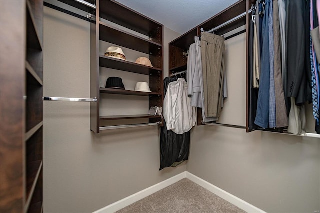 walk in closet with carpet flooring