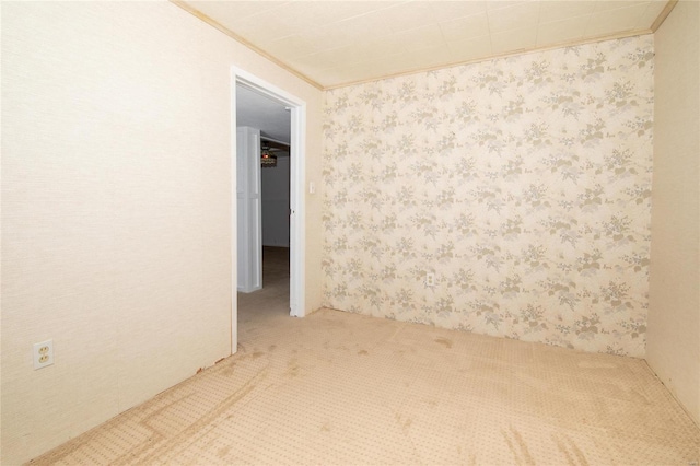 spare room with carpet flooring and crown molding