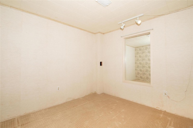 empty room with carpet flooring and rail lighting