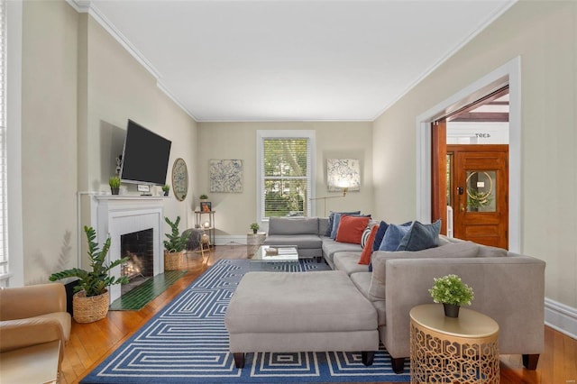 living room featuring hardwood / wood-style floors and ornamental molding