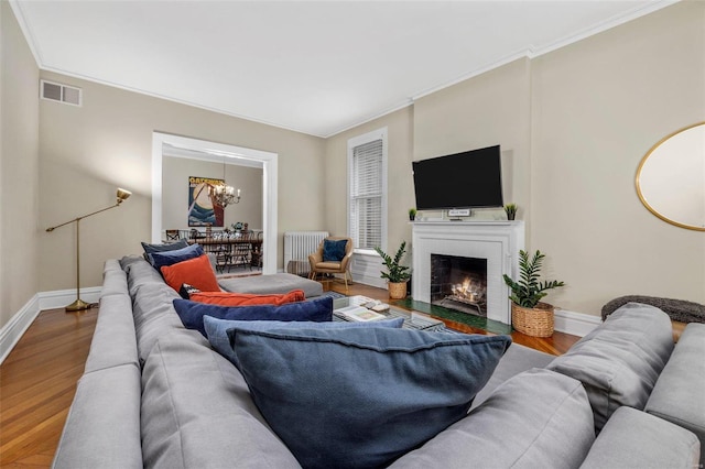 living room featuring a notable chandelier, radiator heating unit, hardwood / wood-style floors, a fireplace, and crown molding