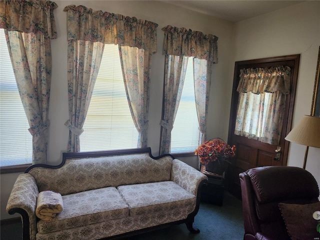 sitting room with carpet