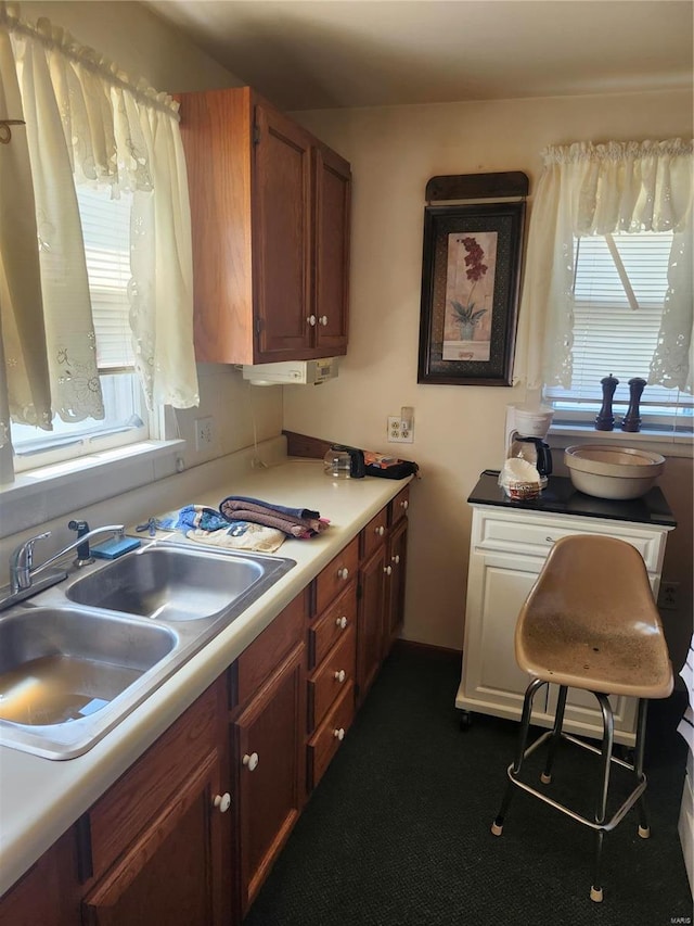 kitchen with sink