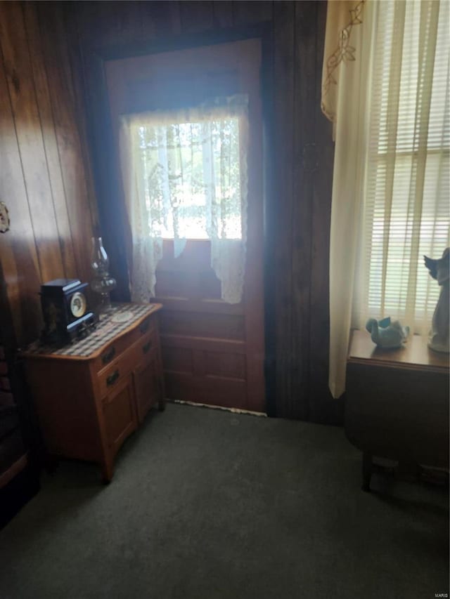 doorway featuring carpet flooring and wooden walls