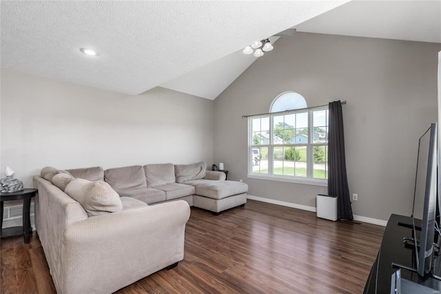 living room with a textured ceiling, high vaulted ceiling, and dark hardwood / wood-style floors