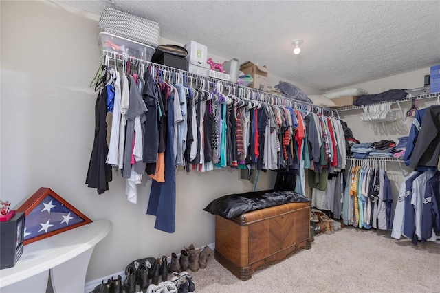 spacious closet featuring carpet floors